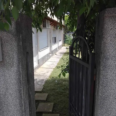 Nikolaj Подгорица